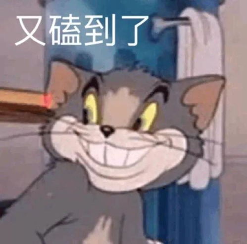 毛晓彤和他分手又复合真是越看越套路