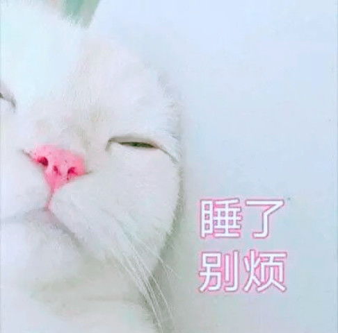 呱唧,有毒表情包来了,鬼知道我经历了什么,啥