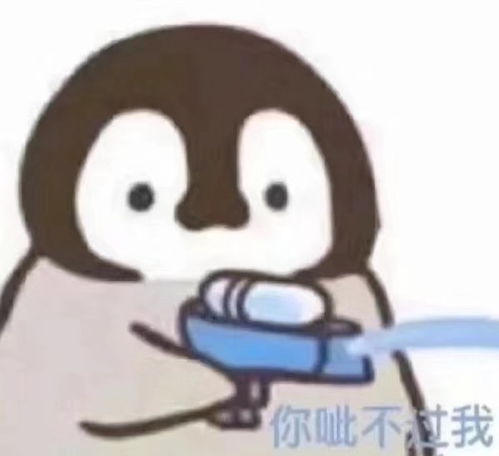 超级可爱的企鹅表情包