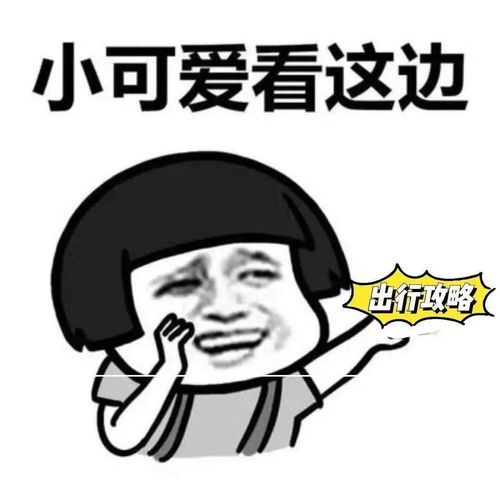 德安交警2020年国庆中秋期间两公布一提示