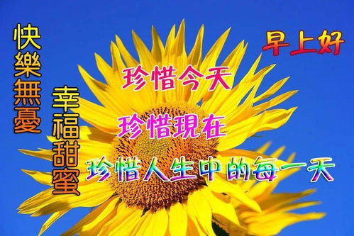清晨早上好鲜花祝福动态表情图片,非常漂亮的早安问候语录精选