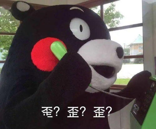 包里有这样东西的人,生活幸福感都很高品味还都很好