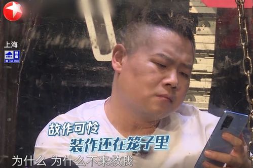 岳云鹏,哀其不幸,怒其不争