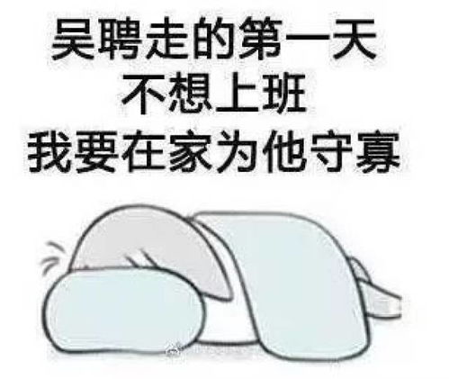娘娘驾到表情包拎包