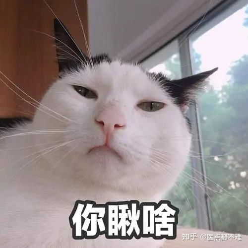 我国超过一半人感染幽门螺杆菌,你对它了解吗