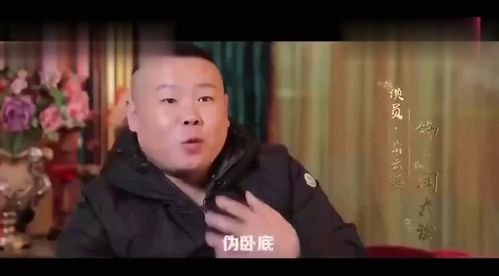 鼠胆英雄岳云鹏,被佟丽娅称为行走的表情包