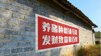 互联网公司进军农村,从刷墙开始