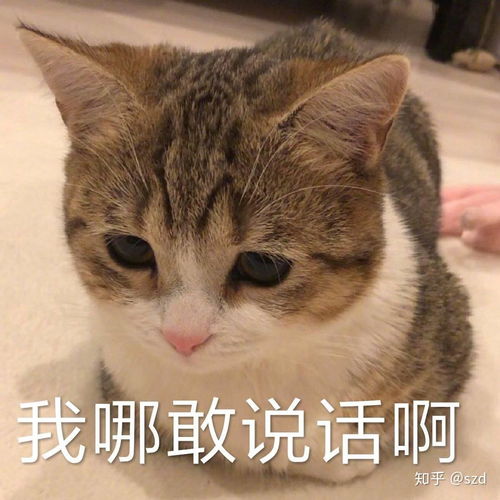双笙新版道姑是否侵权剑三
