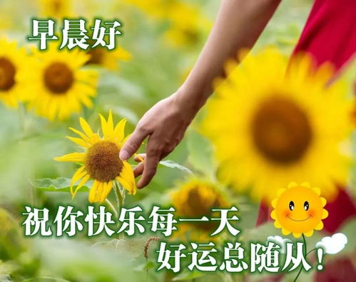2021年11月30日早上好问候祝福动态表情图片最新早安问候语动态图片表情