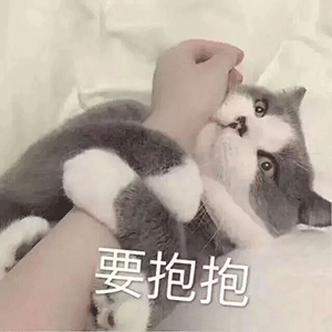 萌猫动态表情包白杆
