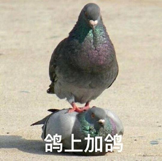 张熊熊的相册肥宅复健