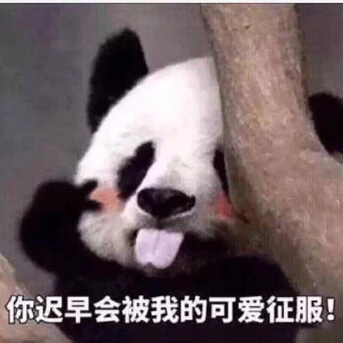 斗图王者专属沙雕表情,皮到不能自主呼吸,威力伤害太大了