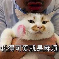活久见黑成碳的包拯有天居然能变成美男子,开封天团颜值犯规