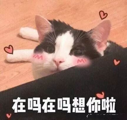 表情包歪我的小宝贝在吗
