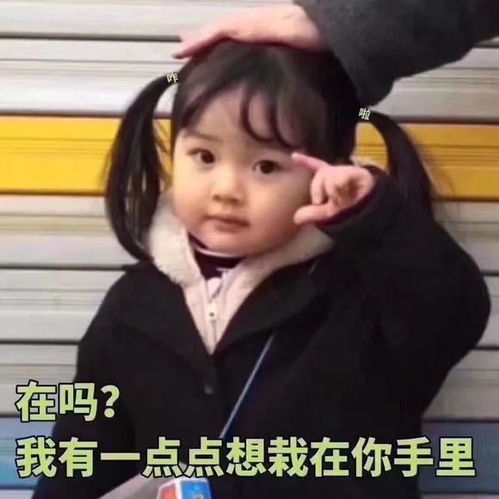 情话这样说才有趣