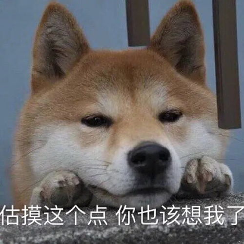 钓鱼表情表情包无聊