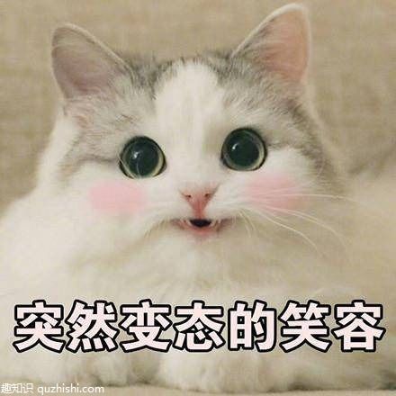趣味冷知识21则或许你觉得荒谬不可信,但都是客观存在的科学道理