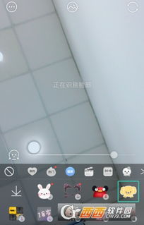 动态表情包添加文字app按钮