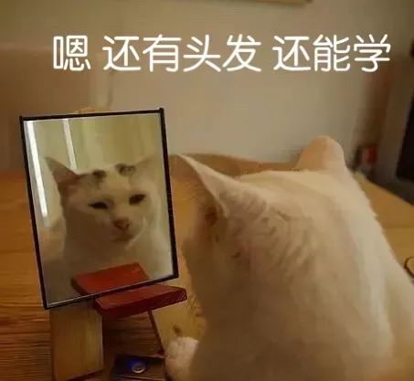 表情包你表情包太多,不想和你聊了