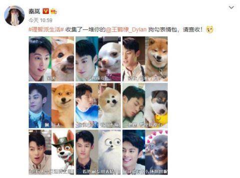 cp又发糖秦岚晒王鹤棣狗勾表情包引网友直呼好甜