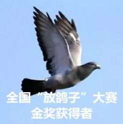 那谁,你在江都融媒体中心给我等着