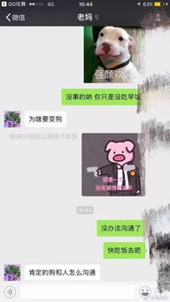 聊天开场白表情图拍一拍
