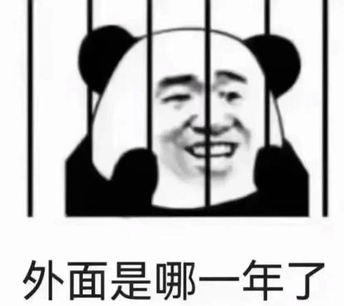 考研上岸失败,我的人生完了