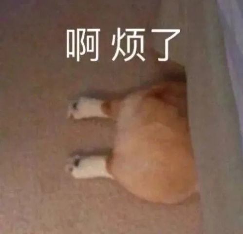 表情包杂七杂八斗图精选系列含动图20211008