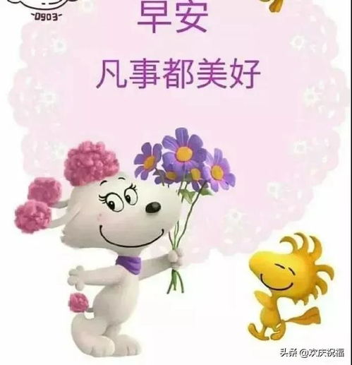 水,越淡越清澈人,越淡越快乐,早安