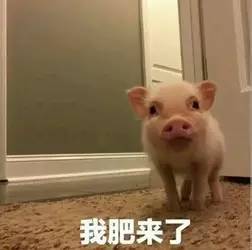 一句话自黑家乡,真服了你们这些戏精