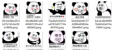 我要和你一起睡觉表情包下载熊猫头表情包v1.0免费版软件下载
