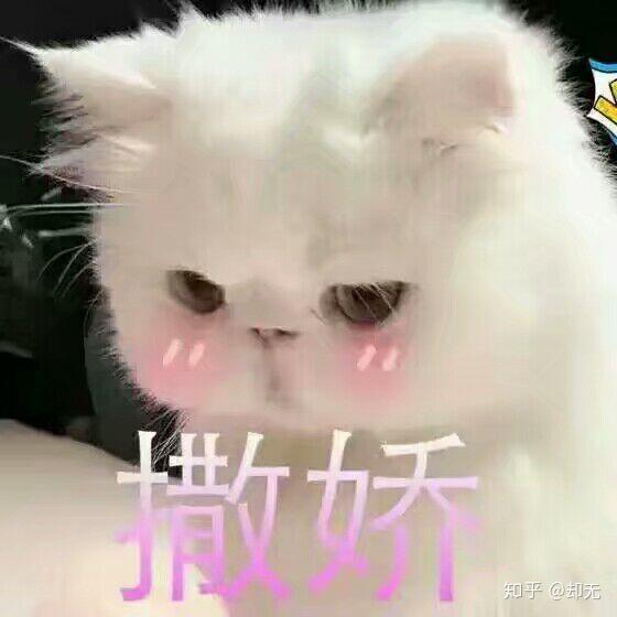 你最常用哪些有意思的表情包