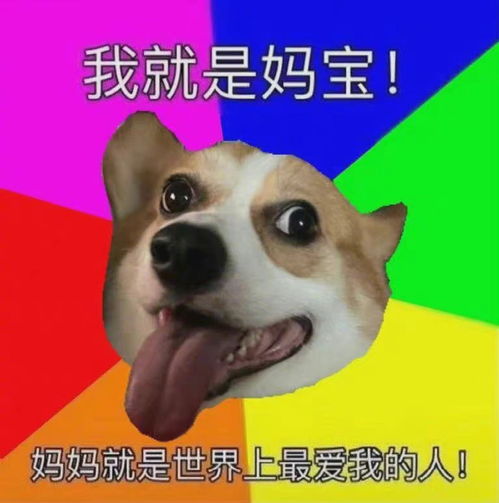 今日实用聊天表情包