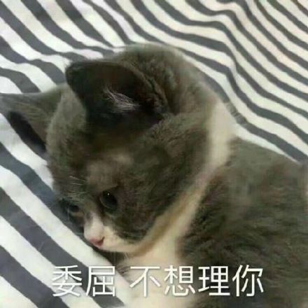 软弱无力狗头表情包