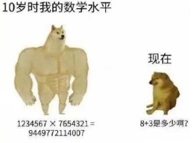 你这是在玩火的表情包doge