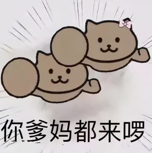 你看你妈呢龙图表情包