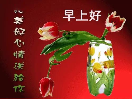 4月25日每天一祝