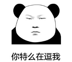 追妹子表情包妹子