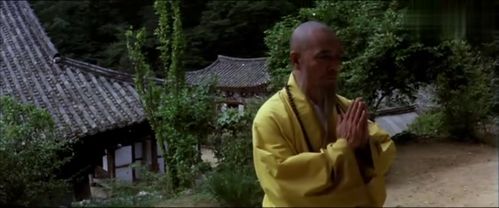 影视小和尚半夜爬进藏金阁,偷走少林寺绝学,方丈竟没发现