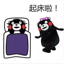 温度近零海沧迎来入冬最低温,是你家门口吗