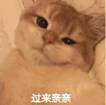 jennie表情包桃山