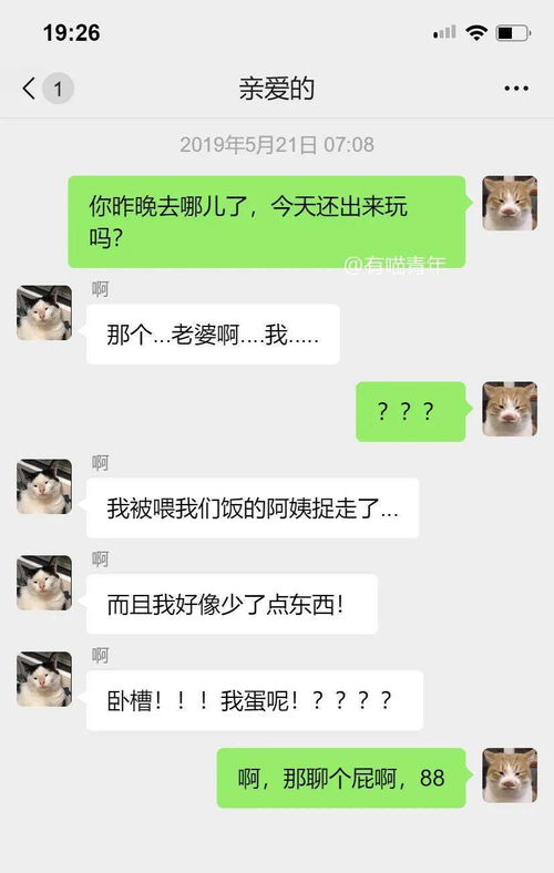 我家猫把我微信拉黑了,怎么哄