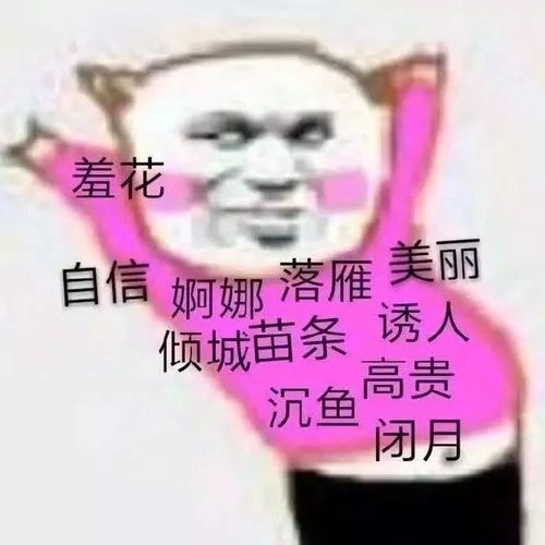 今日份表情包