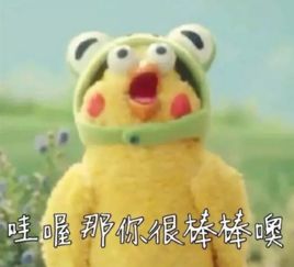 我怎么这么能干表情包鹦鹉兄弟