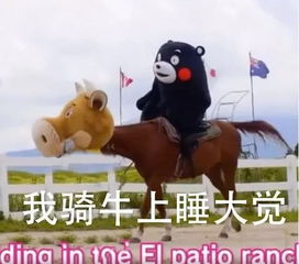 突然好想去放牛晚安