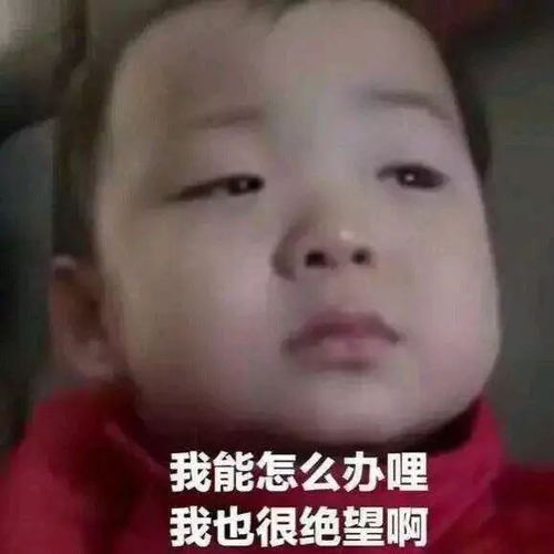 黄子韬涉嫌抄袭选手撕逼罢录,这个和偶像练习生同类的节目戏有点多