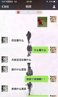 你和爸妈之间,还有一条表情包的沟