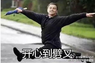 小李子表情包