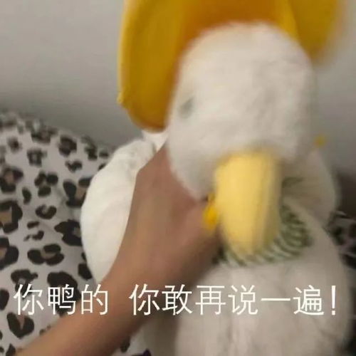 今日份沙雕表情包我要出去寻找爱