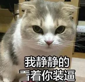 煮了几天的饭后,我居然在米缸里挖到了猫屎...